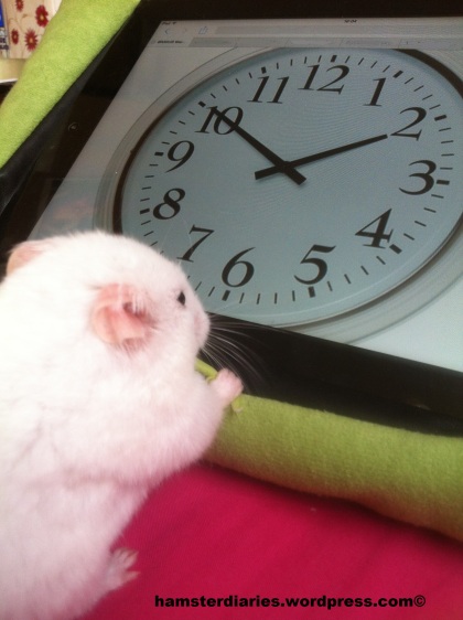 Casper and the Clock, he can tell the time HONEST! :p
